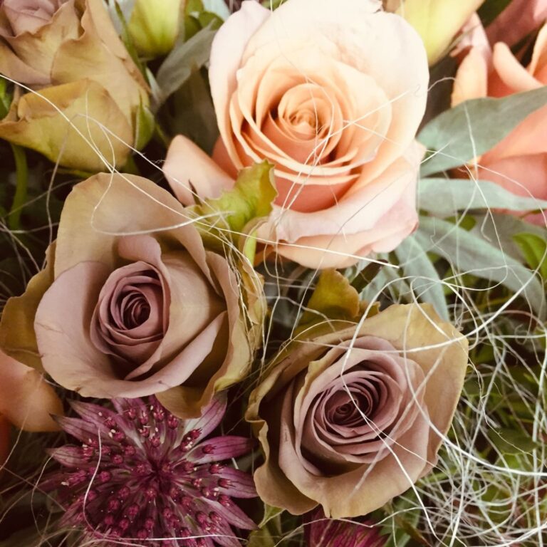 IMG_8475-min-min-min